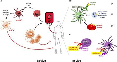 Tolerizing Strategies for the Treatment of Autoimmune Diseases: From ex vivo to in vivo Strategies